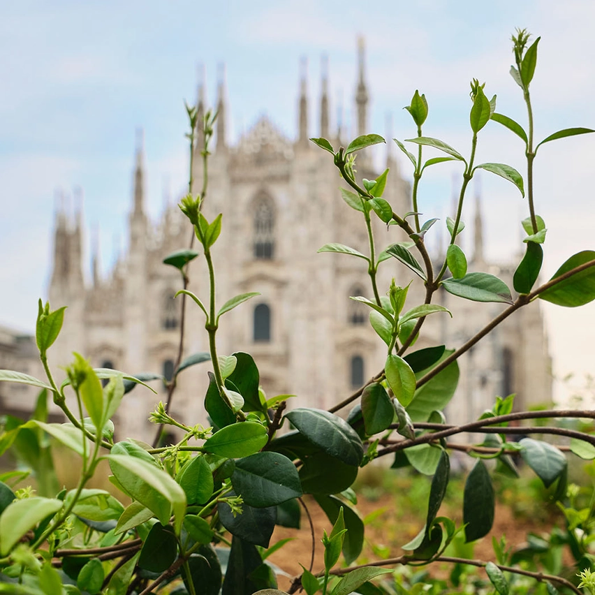ZEGNA 主持米蘭大教堂廣場花壇的煥新裝飾。