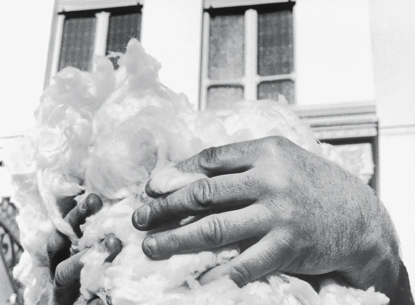 Vellus Aureum wool by ZEGNA, a sustainable luxury fibre with a fineness of 13 microns.