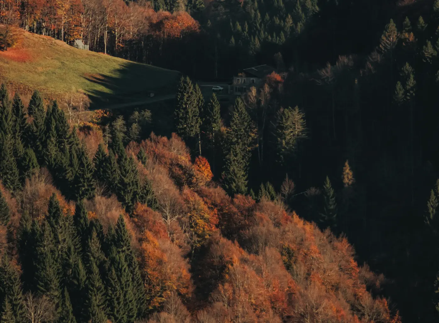 Top view of the natural landscape of Oasi Zegna.
