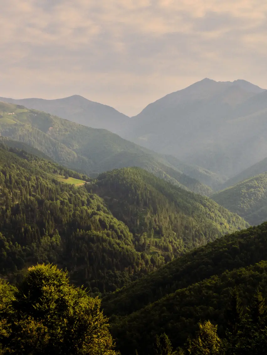 Landscape with green hills of Oasi Zegna in the Biellese Alps in Piedmont.