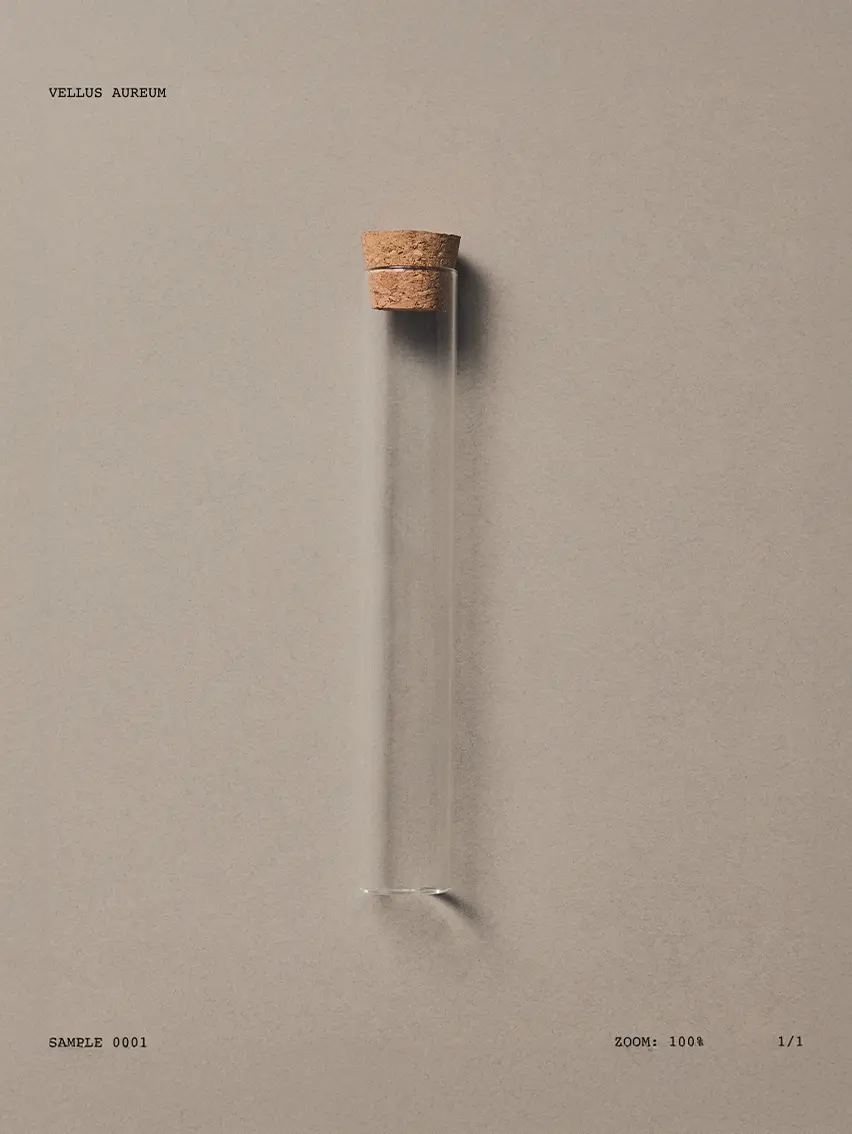 Sample of ultra-fine Vellus Aureum wool fiber in glass tube, luxury material by ZEGNA.