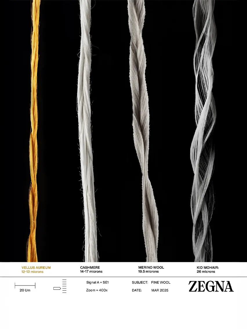 Comparison of fiber thickness: Vellus Aureum vs cashmere, merino wool and mohair.