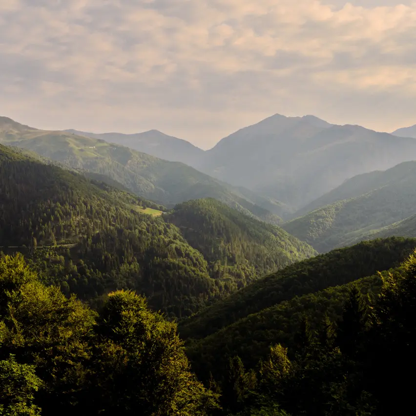 位於皮埃蒙特比萊阿爾卑斯山的 Oasi Zegna 的綠色山丘景觀。