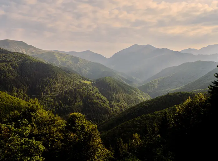 Landscape with green hills of Oasi Zegna in the Biellese Alps in Piedmont.
