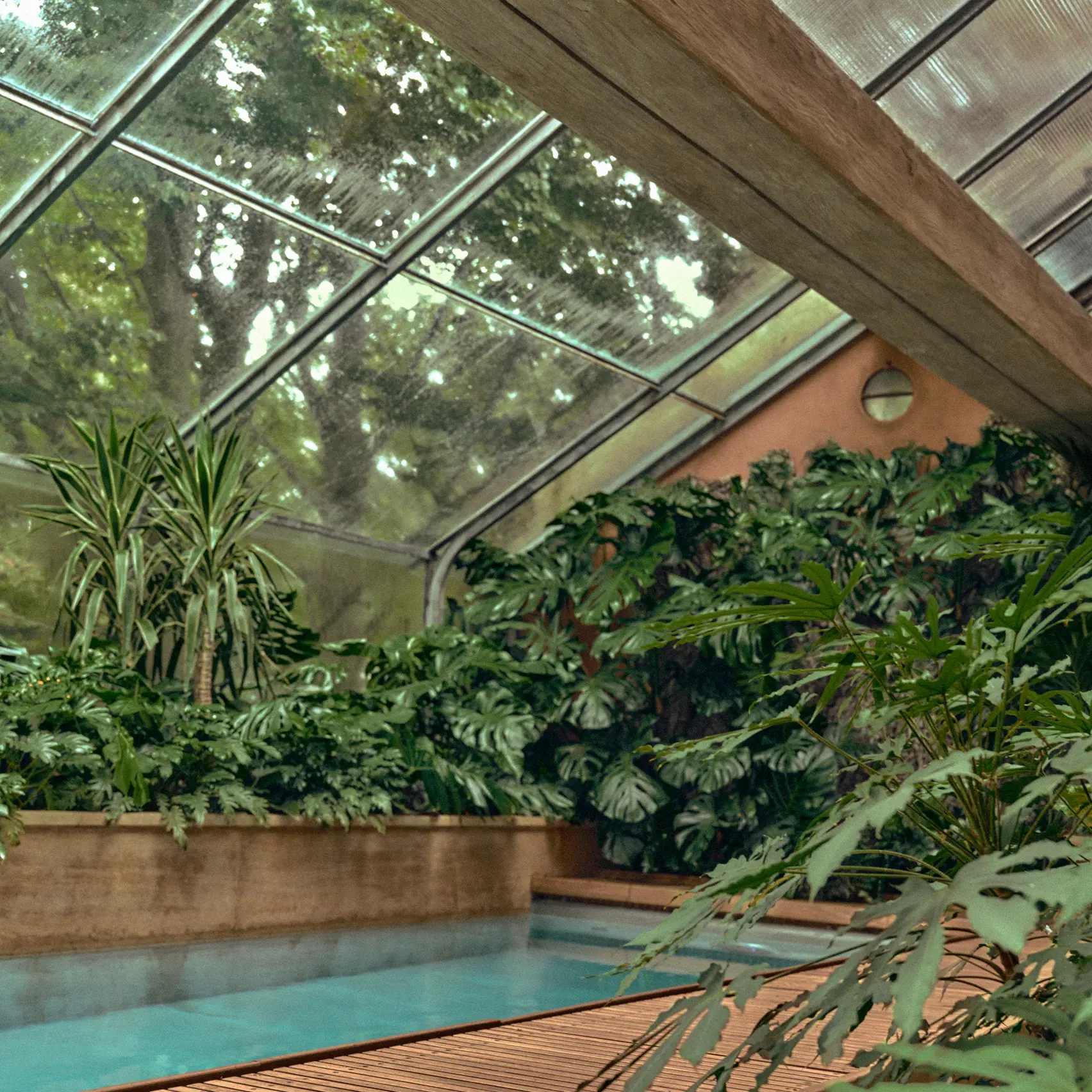 一片以有机形态勾勒的精致自然空间，营造出静谧沉浸的氛围。