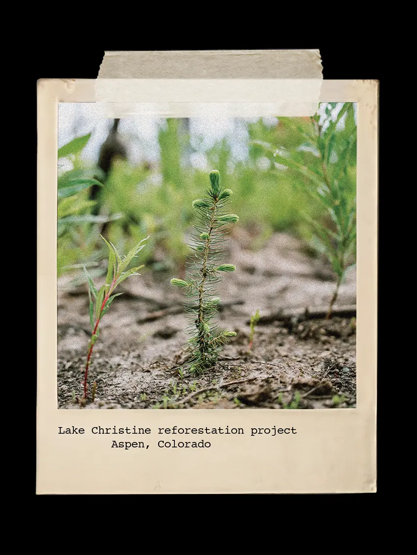 Visual storytelling inspired by nature and the Aspen landscape, part of ZEGNA’s environmental project.