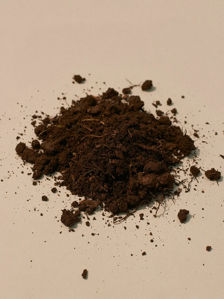 Dark forest soil from Oasi Zegna displayed on a neutral background.
