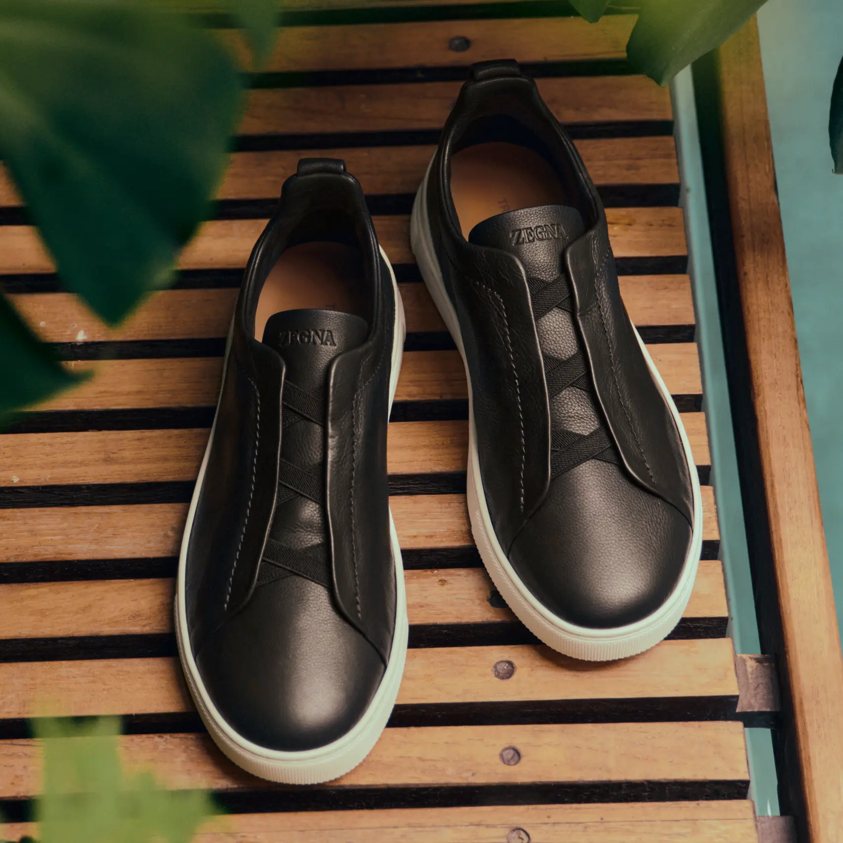 Natural landscape around Lake Maggiore with mixed vegetation.