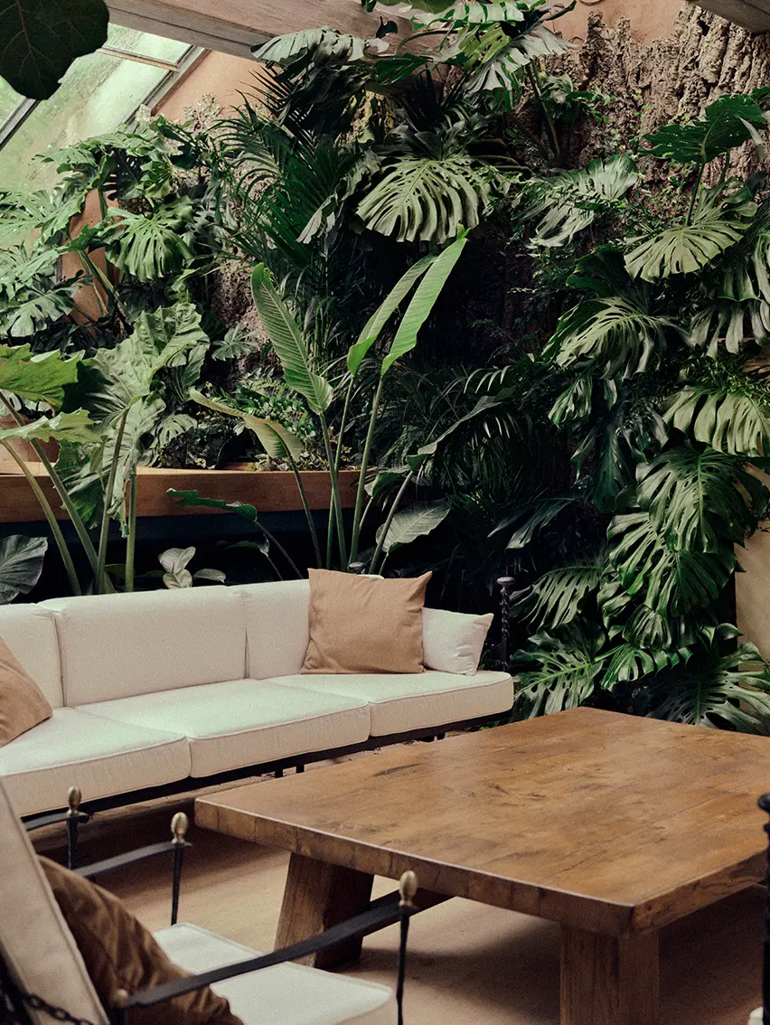 室內環境精緻典雅，充滿自然質感，氣氛寧靜，使人沉醉不已。