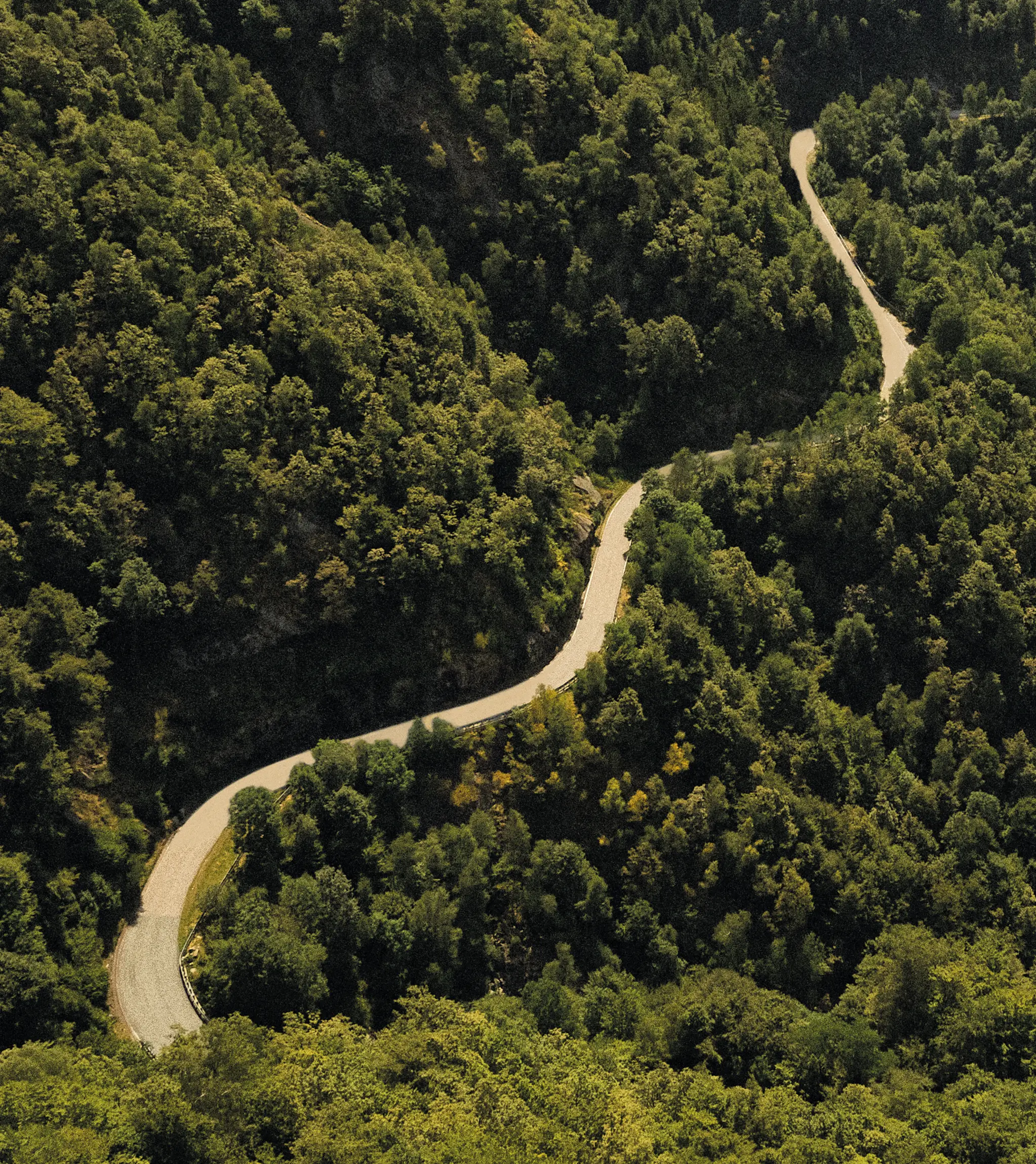 Top view of the natural landscape of Oasi Zegna.