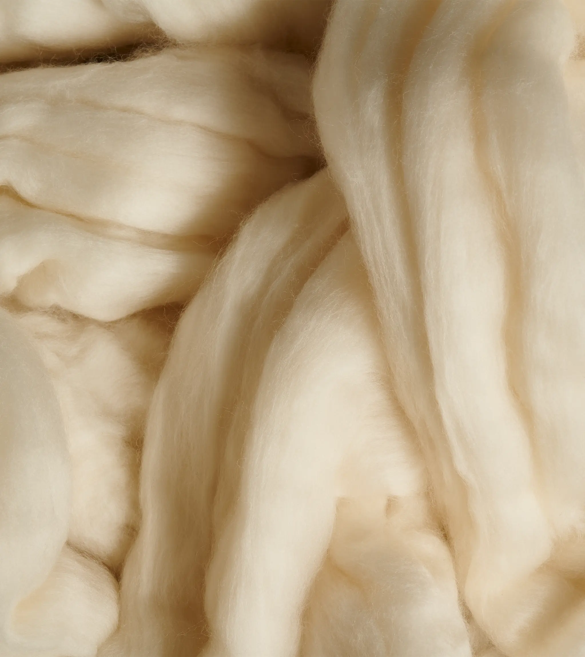Close-up of unprocessed premium wool by ZEGNA.