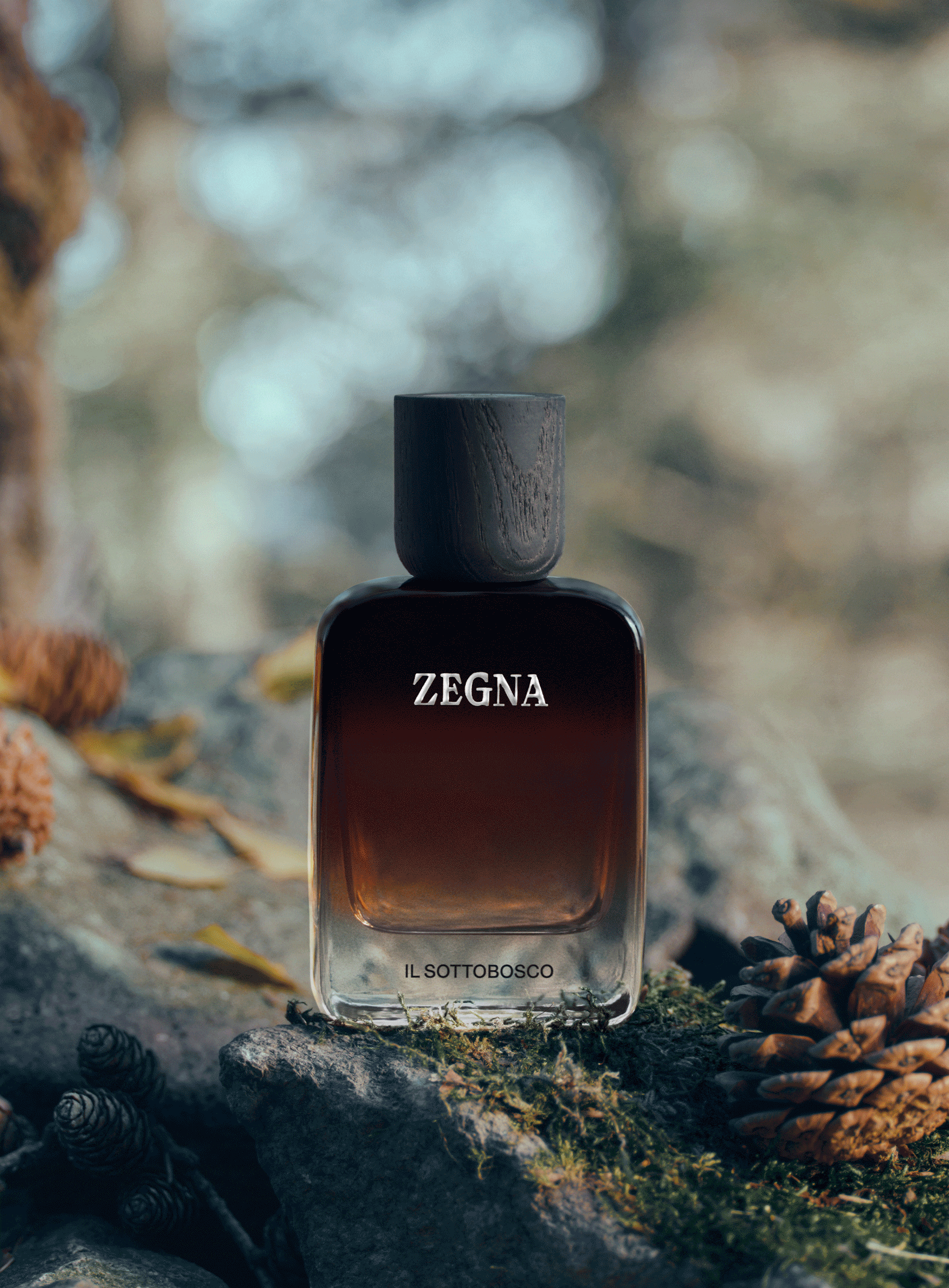 Il Sottobosco