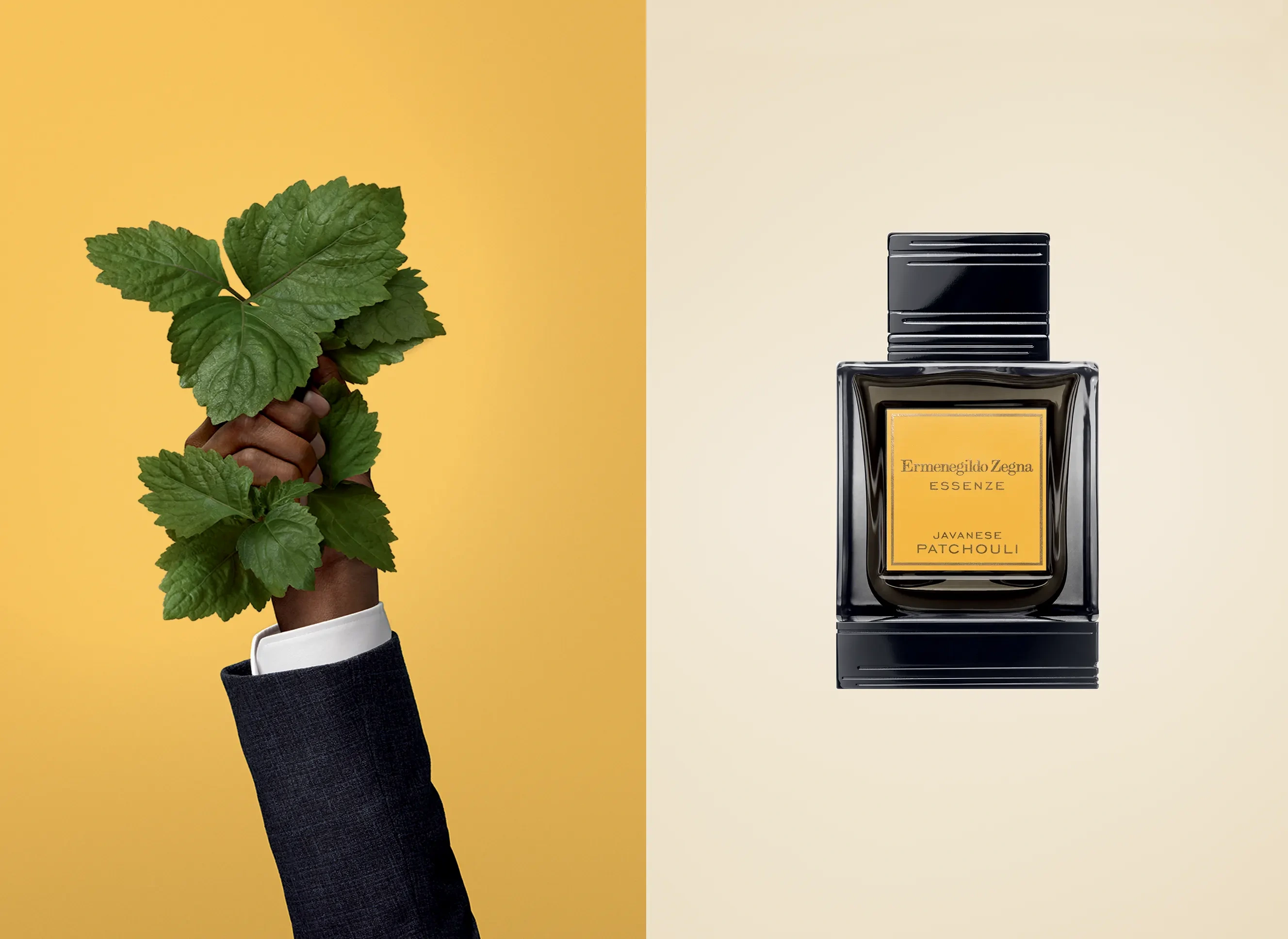 Patchouli scented fragrance for men | Zegna
