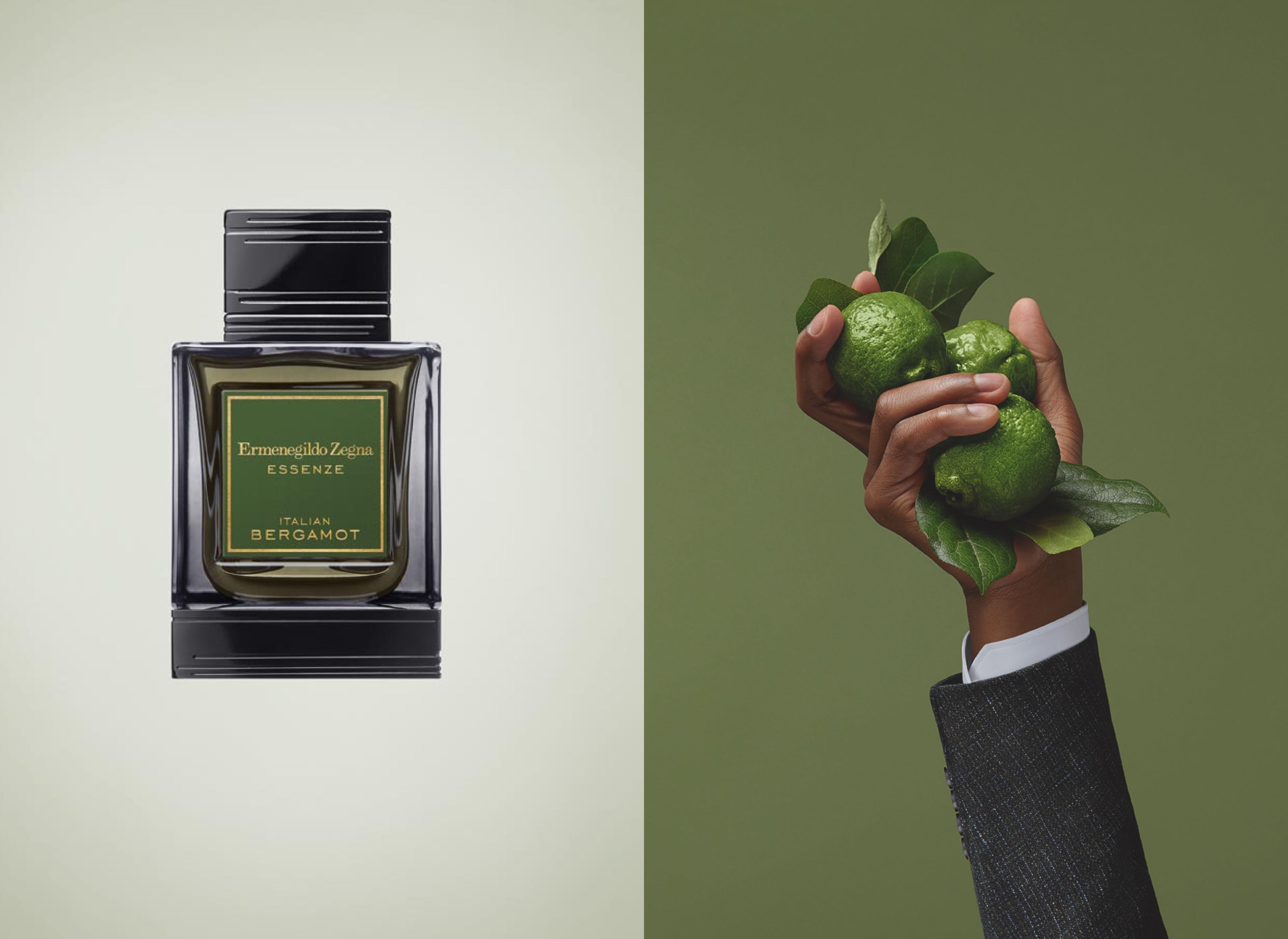 Ermenegildo zegna essenze clearance