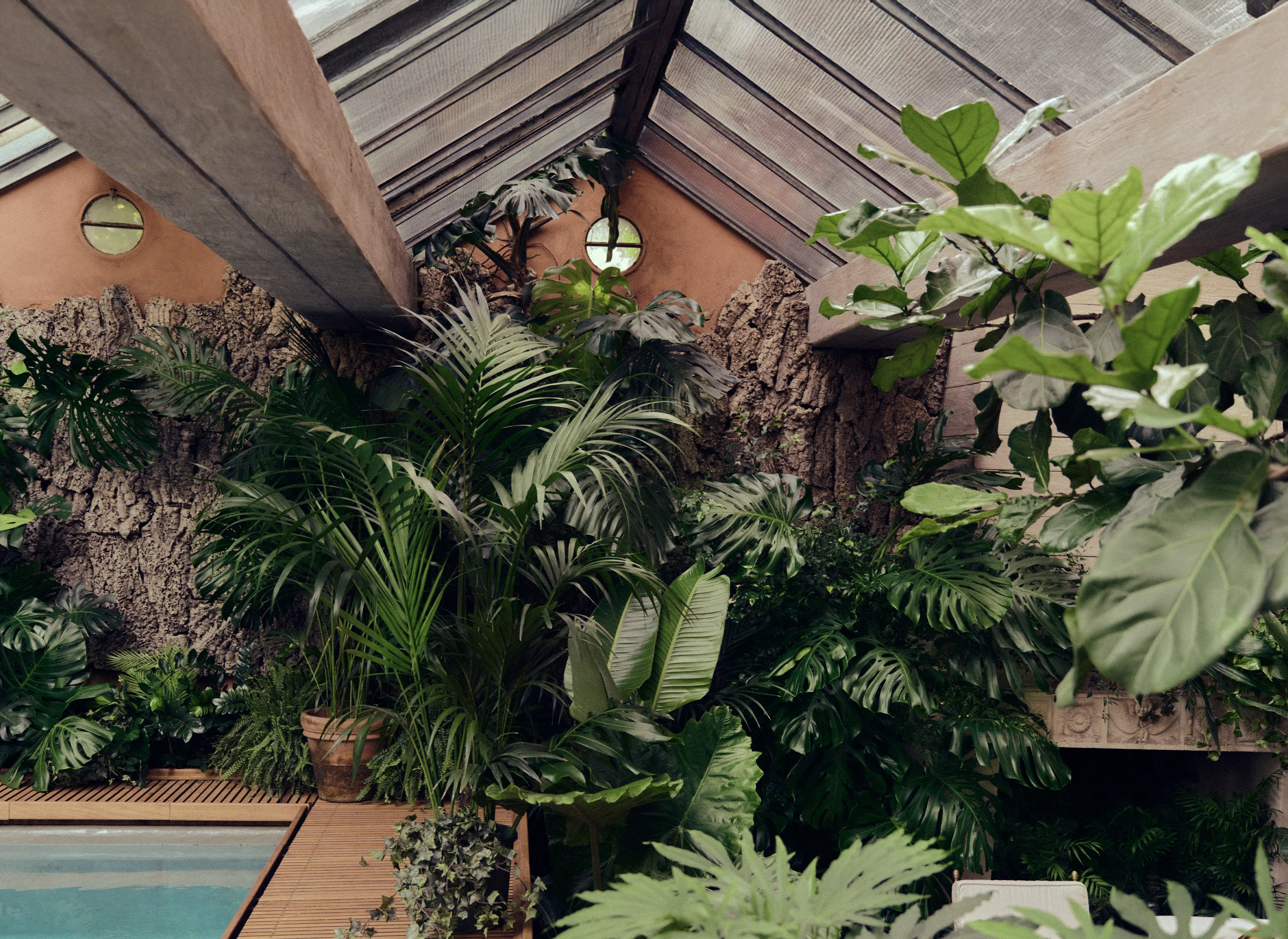 一片以有机形态勾勒的精致自然空间，营造出静谧沉浸的氛围。