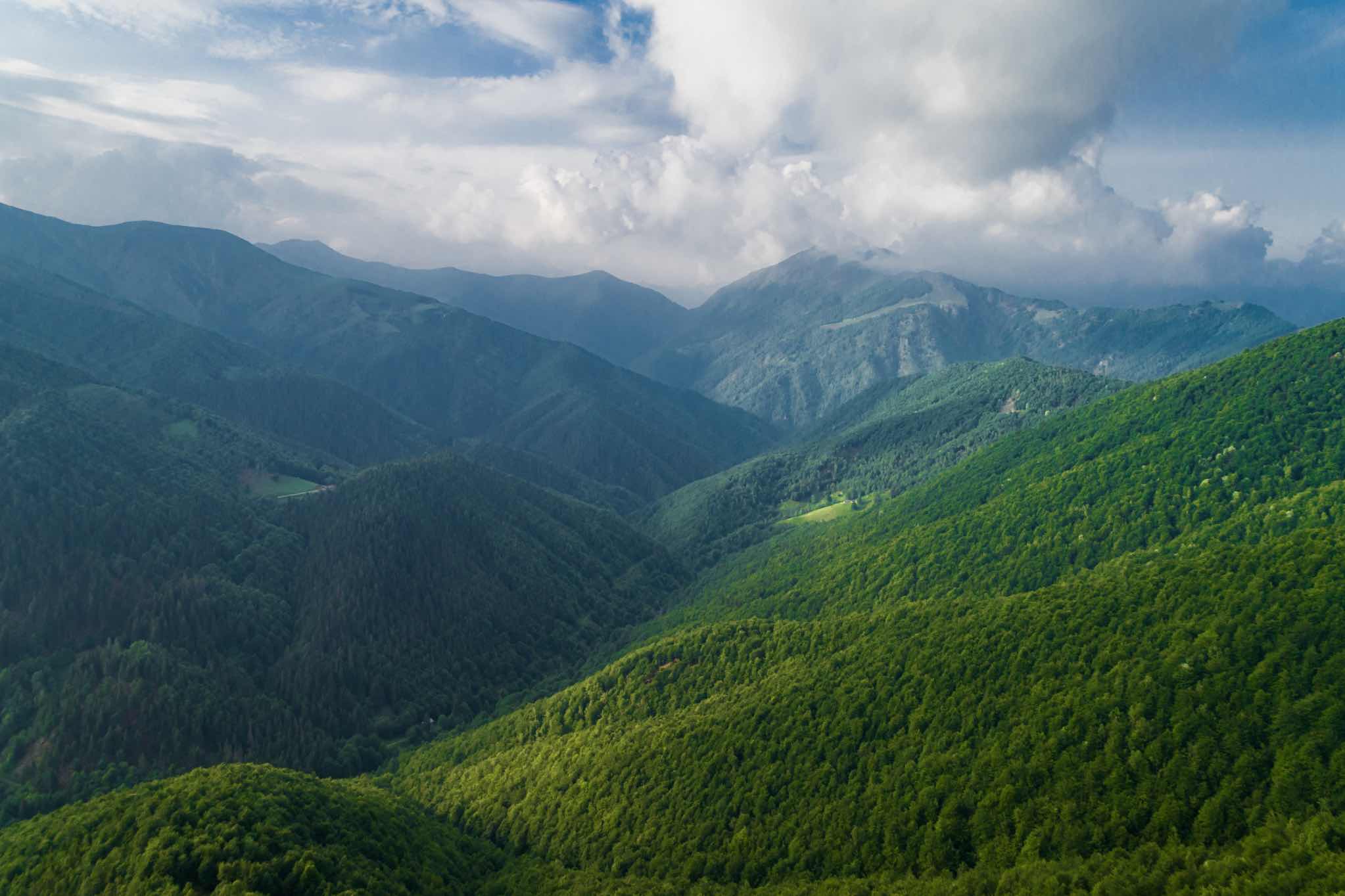 Zegna —— 一个可持续品牌的 Green Soul