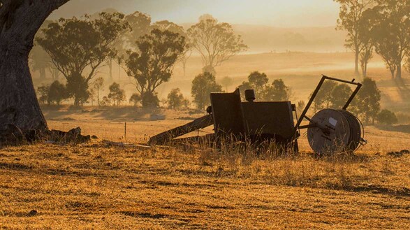 Achillfarm™ in New South Wales | Zegna