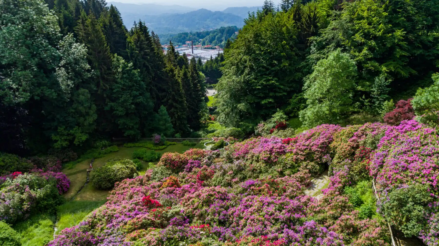 Oasi Zegna: a nature reserve in Northern Italy | Zegna